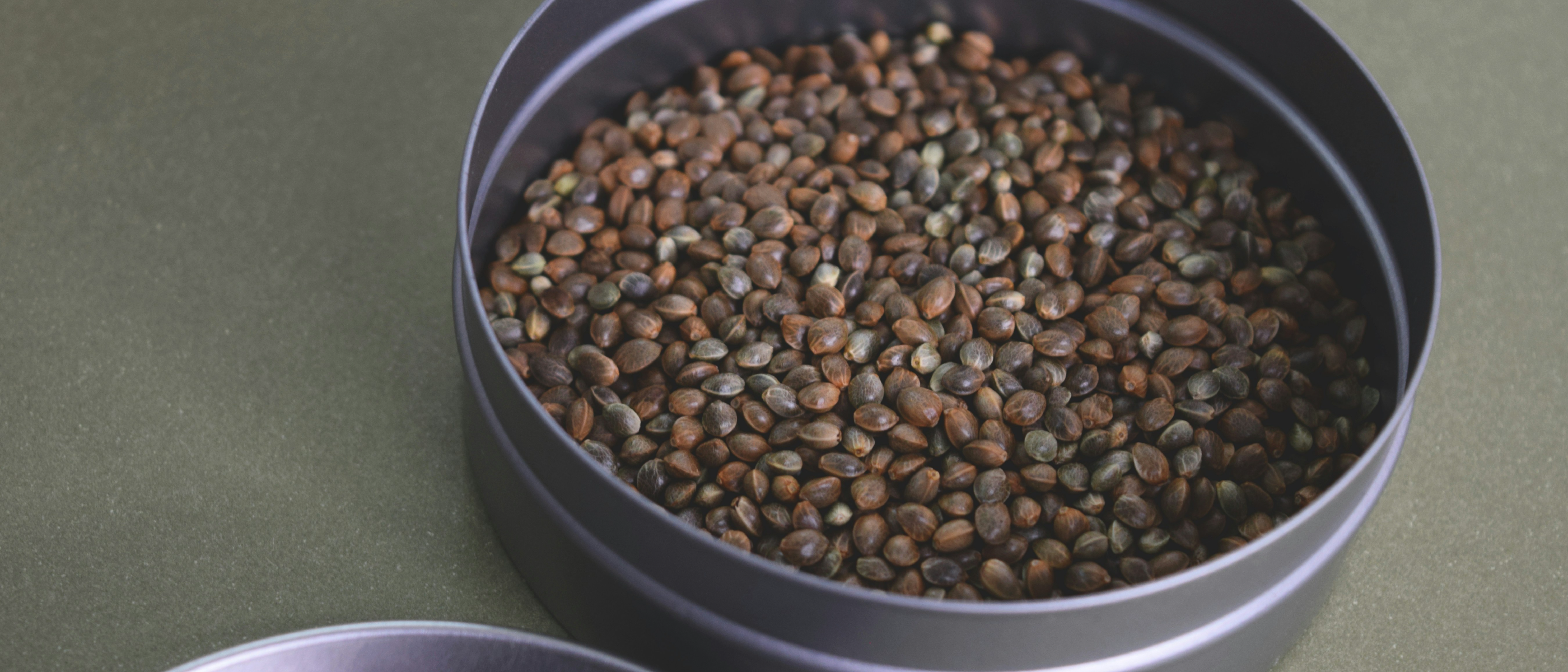 What Happens to Your Body When You Eat Hemp Seeds Regularly