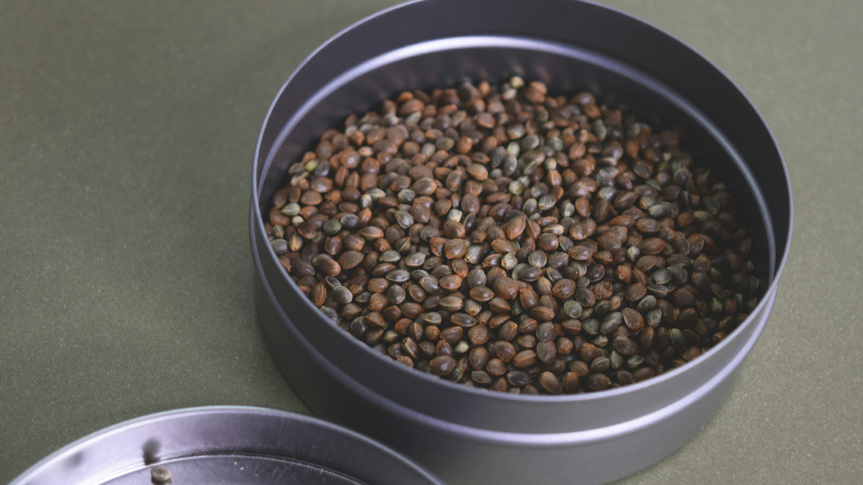 What Happens to Your Body When You Eat Hemp Seeds Regularly