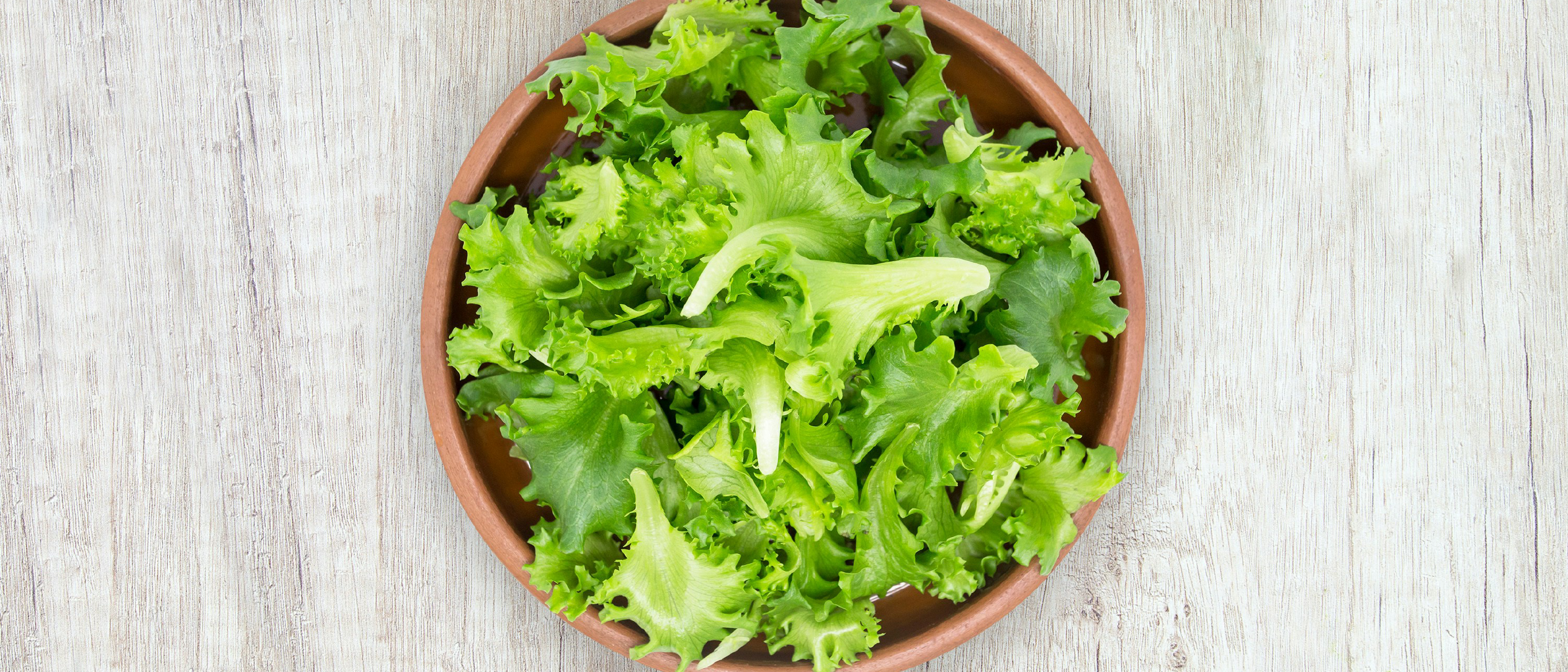 What Happens to Your Body When You Eat Lettuce Regularly